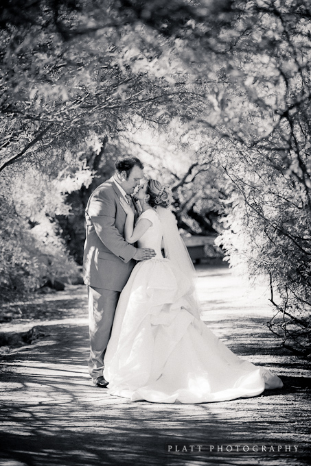 Phoenix-Mesa-Arizona-LDS-Wedding-1 Wedding Portraits at the Phoenix Botanical Gardens