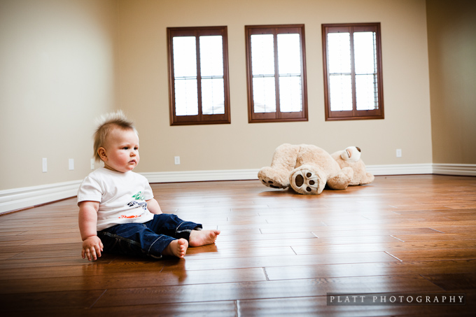 Baby Portrait with big stuffed bear in Chandler, Arizona