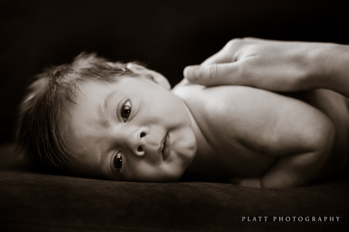infant-portrait-scottsdale-arizona-10 Infant Portrait in Scottsdale Arizona