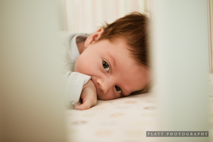 infant-portrait-scottsdale-arizona-6 Infant Portrait in Scottsdale Arizona