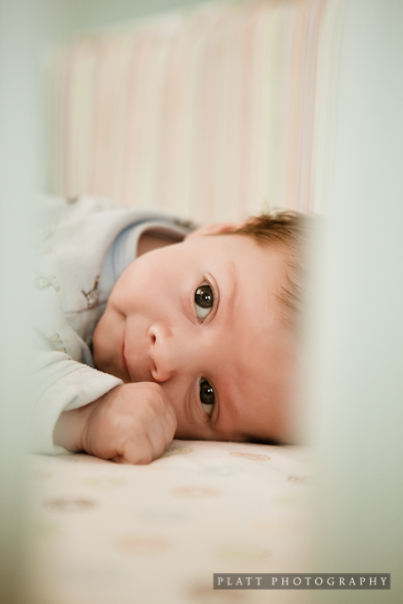 infant-portrait-scottsdale-arizona-7 Infant Portrait in Scottsdale Arizona