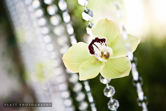 Flowers by Amy's Floral Design: Flowers by Amy's Floral Design: Wedding Photography at the Montelucia in Paradise Valley (Scottsdale) Arizona