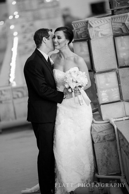 A wedding at the Arizona Biltmore and St. Francis Catholic Church in Phoenix Arizona (17)