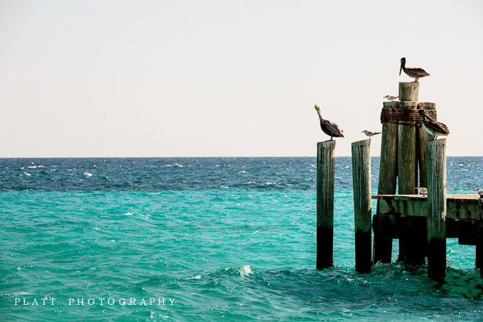 Engagement Portraits in the Gulf of Mexico, of the coast of Key West, Florida by Jared Platt, Platt Photography.
