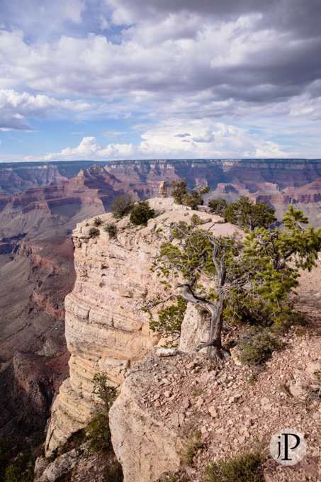 Wedding photography at the Grand Canyon (6)