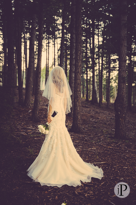 Wedding photography at the Hidden Meadow Ranch in Greer Arizona (12)