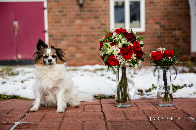 Wedding photography by Jared Platt of wedding in Missouri (18)