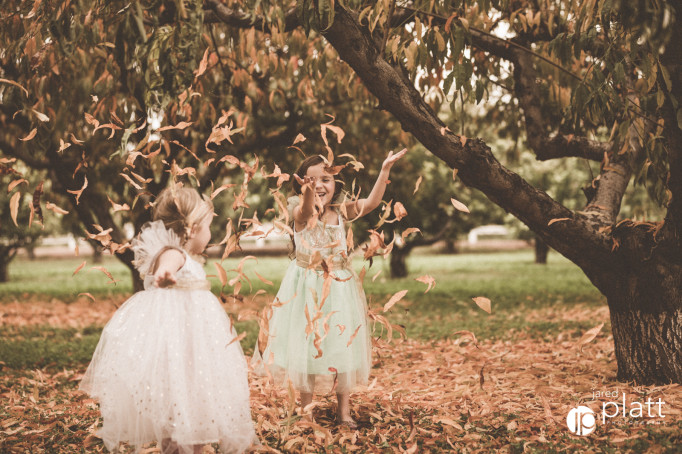 Autumn Children's portrait in grove of trees in Gilbert Arizona (2)